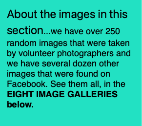 About the images in this section...we have over 25
